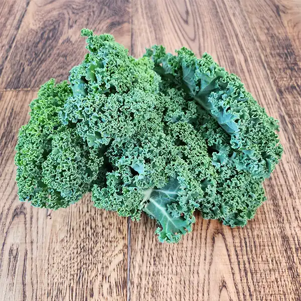 Curly Kale  (Curly Kale _P1)